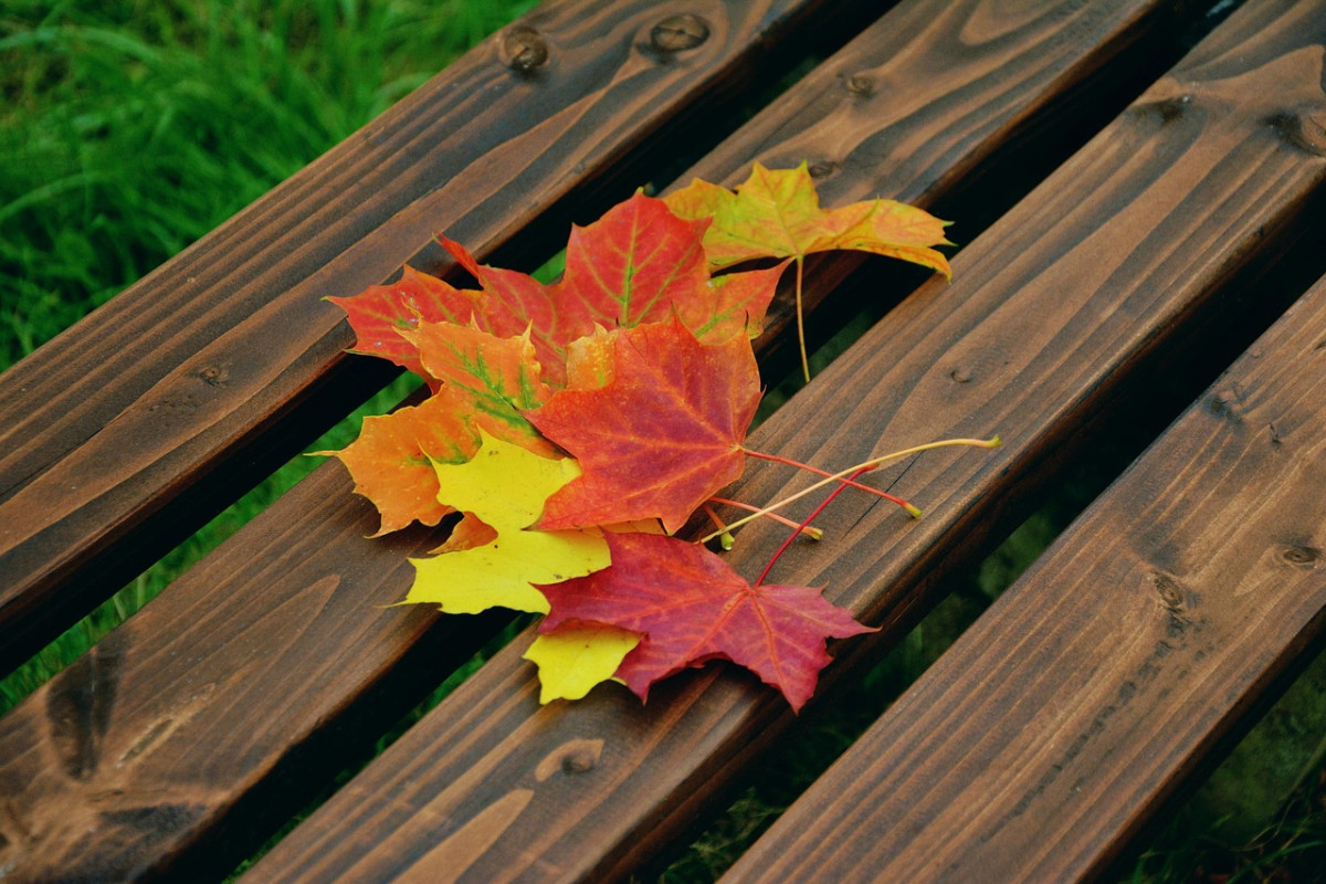 congerdesign autumn leaves 1740841 1280 1