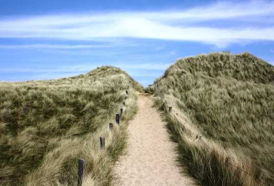 mutner sylt 2771653 1280